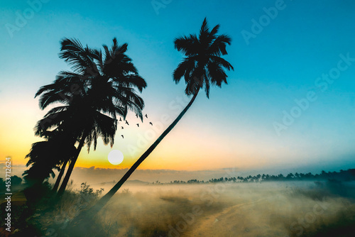 sunset on the beach with palms