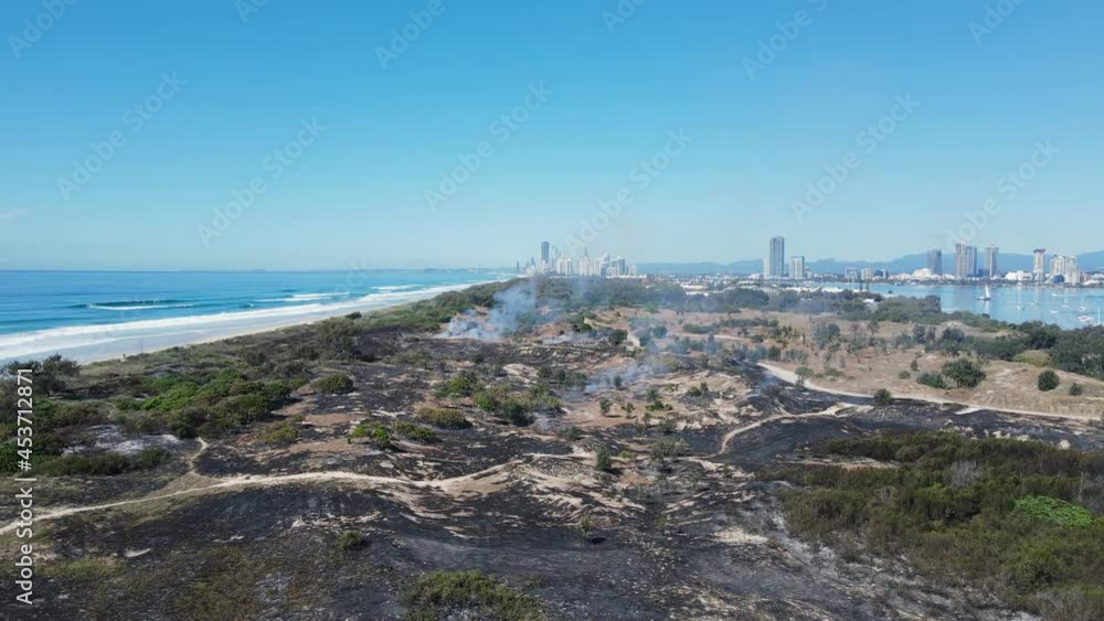 Fire destroys a section of critically endangered littoral rainforest and coastal vegetation close to a city skyline Fire destroys a section of critically endangered littoral rainforest and coastal vegetation close to a city skyline