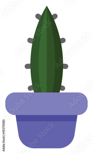 Ox tongue cactus in a purple pot, icon illustration, vector on white background