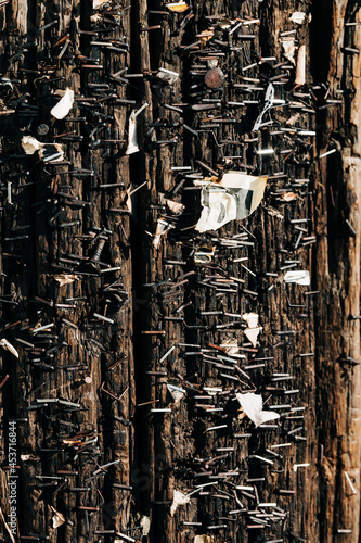 Poster and flyer staples on a telephone pole