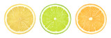 Various types of citrus fruit (lime, lemon, orange) cut in cross section isolated on white background.