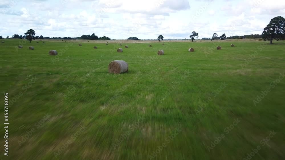 Aerial view hay bales in the green agriculture field, bailed hay drying on ranch land, the straw is compressed into roles, sunny summer day, cloudy sky, wide drone shot moving backward Aerial view hay bales in the green agriculture field, bailed hay drying on ranch land, the straw is compressed into roles, sunny summer day, cloudy sky, wide drone shot moving backward