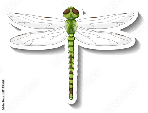 A sticker template with top view of dragonfly isolated