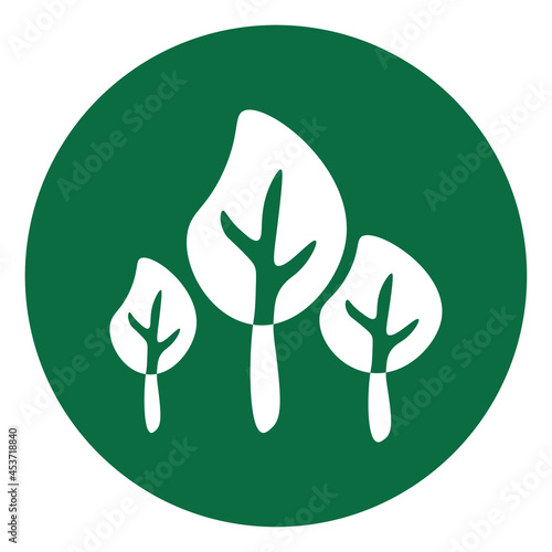 Camphor tree, icon illustration, vector on white background