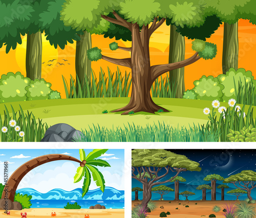 Three different nature landscape scenes