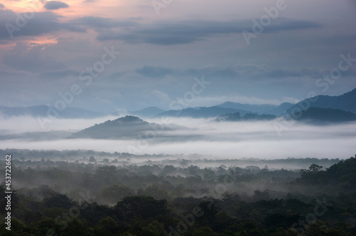 Aerial view. Beautiful fog in the forest with green mountains.
