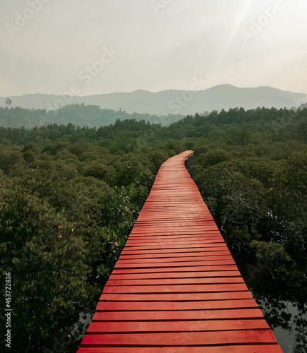 The red bridge walkway in Koh Chang. Adventure and tourism for leisure trips, field trips, and relaxation in nature. Travel vacations.