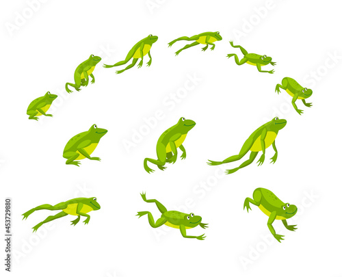 Set of green frogs jumping in sequence. Cartoon vector illustration. Leaping toads on white background. Animated funny water animals. Nature  movement  amphibia  reptile  fauna concept for design