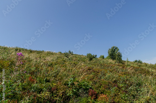 Fototapeta Naklejka Na Ścianę i Meble -  Bieszczady połonina Dźwiniacka 