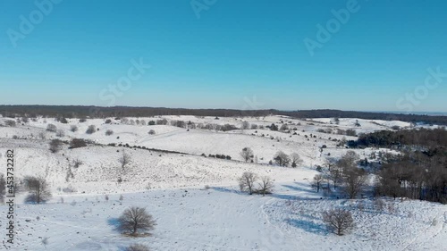 Wallpaper Mural Bright blue sky over a snowy woodland plain,Arnhem,Netherlands,drone. Torontodigital.ca