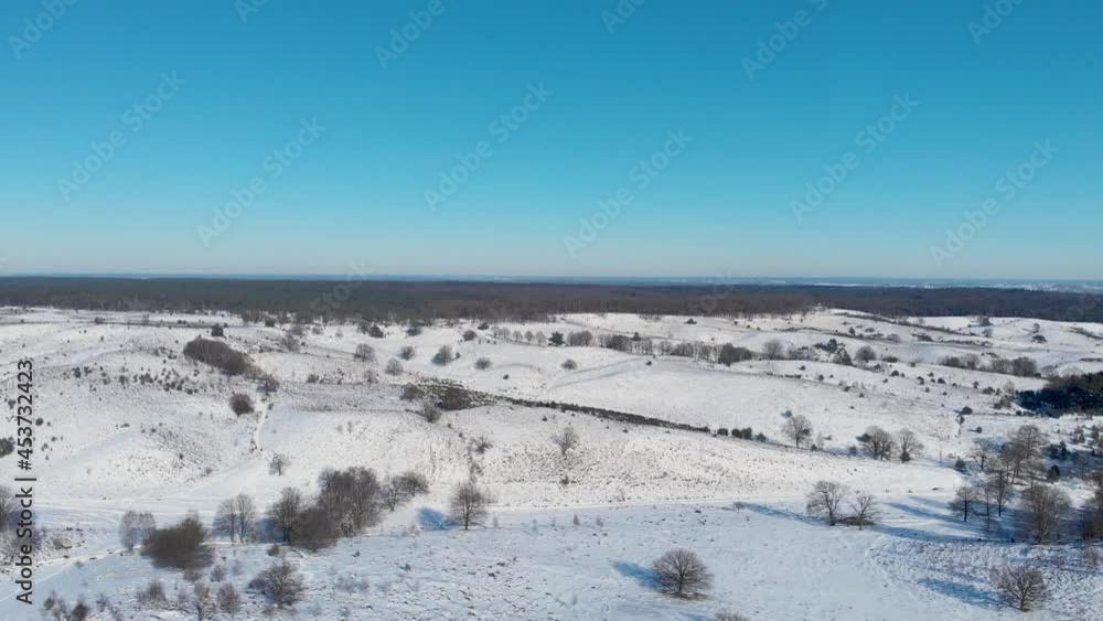 Snowy hilly plain with trees,Arnhem,Netherlands,on a sunny day,drone. Snowy hilly plain with trees,Arnhem,Netherlands,on a sunny day,drone.