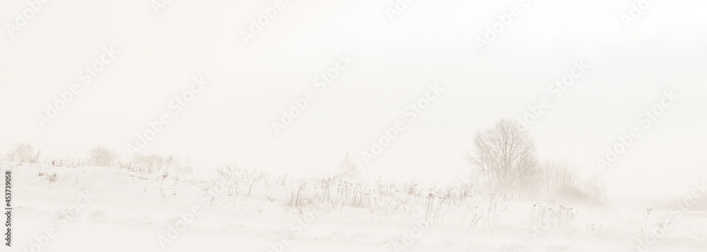 Landscape with trees in winter, during snowfall. Landscape with trees in winter, during snowfall.