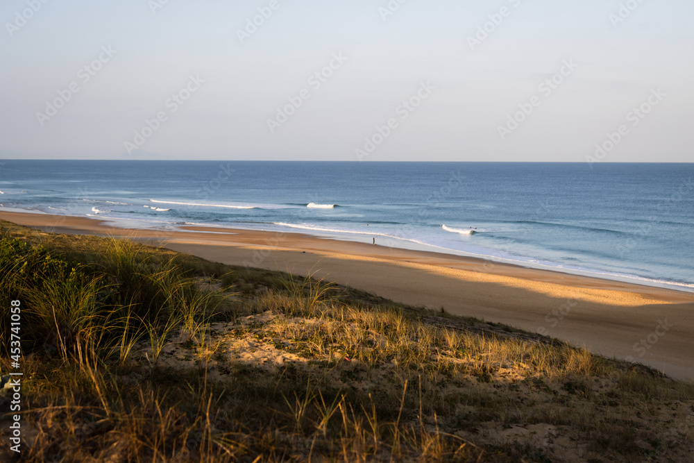plage et dune de soustons dans les Landes, côte atlantique