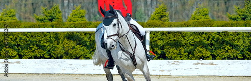 Beautiful girl on gray horse in jumping show, equestrian sports. Dappled horse and girl in uniform going to jump. Horizontal web header or banner design.