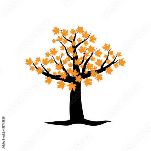 Sugar maple tree icon design template illustration
