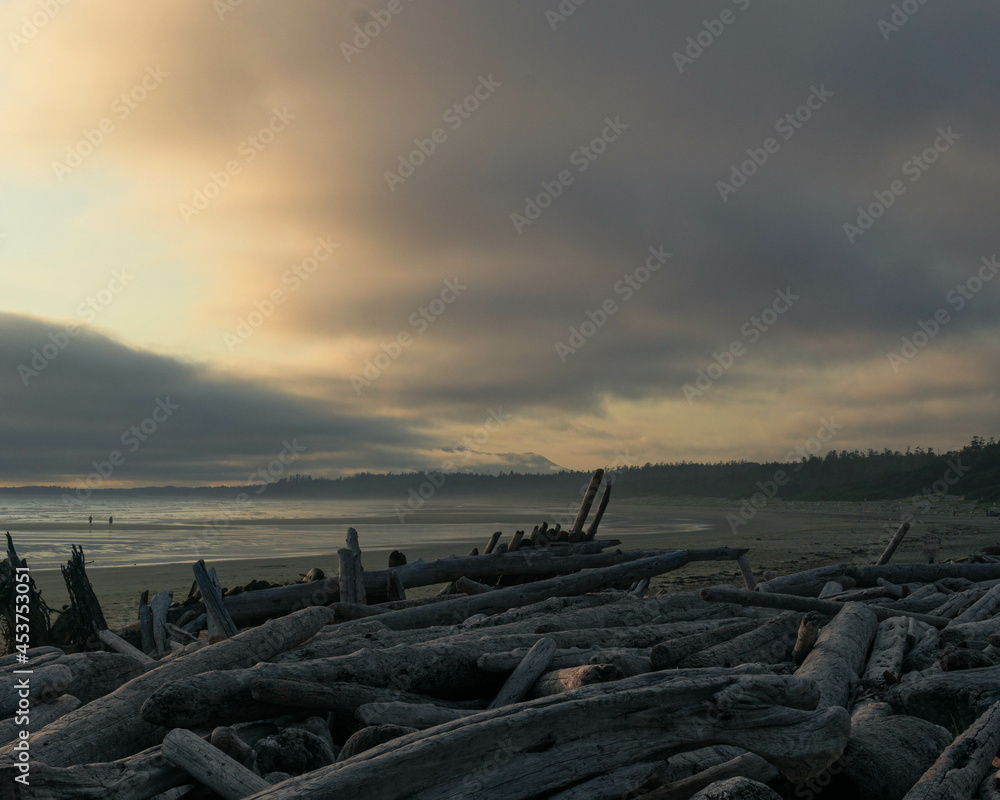 sunset on the beach with a cloudy sky and lots of logs. These logs are put here by waves. sunset on the beach with a cloudy sky and lots of logs. These logs are put here by waves.