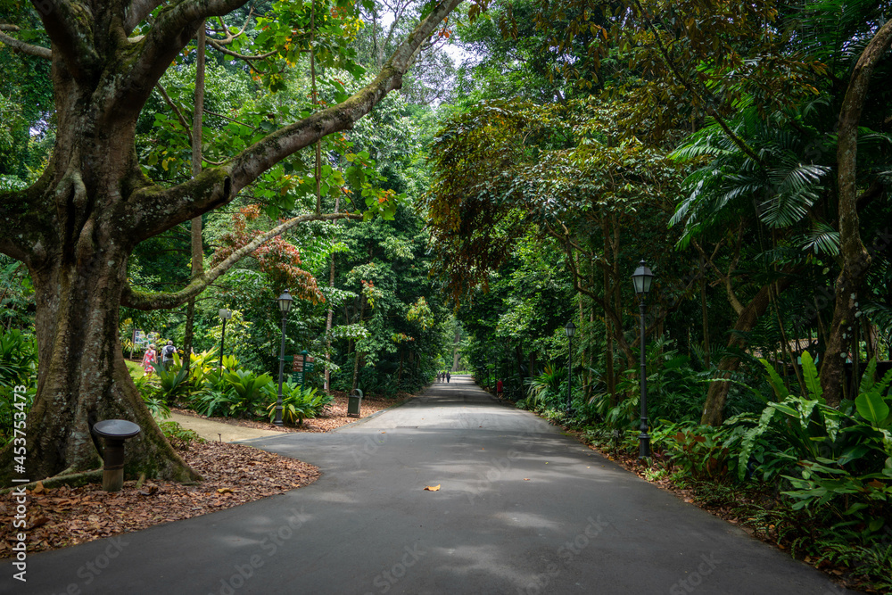 シンガポールの観光名所を旅行する風景 Scenes from a trip to Singapore's tourist attractions シンガポールの観光名所を旅行する風景 Scenes from a trip to Singapore's tourist attractions