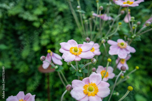 シンガポールの観光名所を旅行する風景 Scenes from a trip to Singapore's tourist attractions 