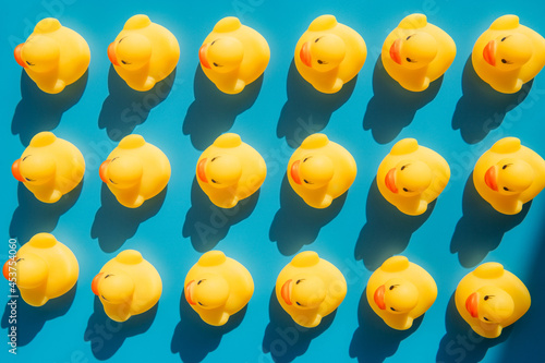 yellow rubber ducks on a blue background with hard shadows