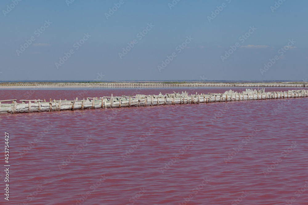 Salty pink lake. The unique color of the lake is given by halophile microalgae Dunaliella salina