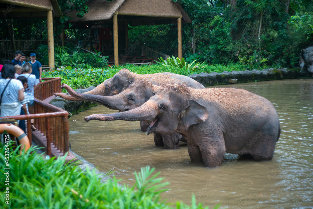 Fototapeta premium シンガポールの観光名所を旅行する風景 Scenes from a trip to Singapore's tourist attractions 