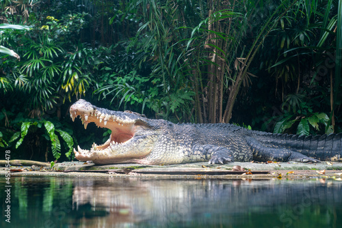 Photography シンガポールの観光名所を旅行する風景 Scenes from a trip to Singapore's tourist attractions