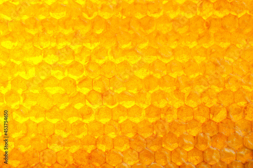 Texture of honey combs, closeup