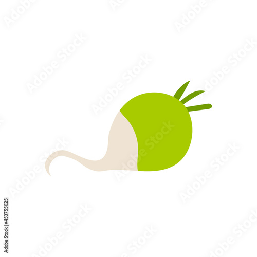 Cartoon green radish isolated. Vector stock illustration of a green radish. A useful root vegetable of the cabbage family on a white background.