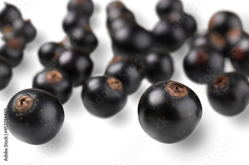 Black currant berry isolated on white background