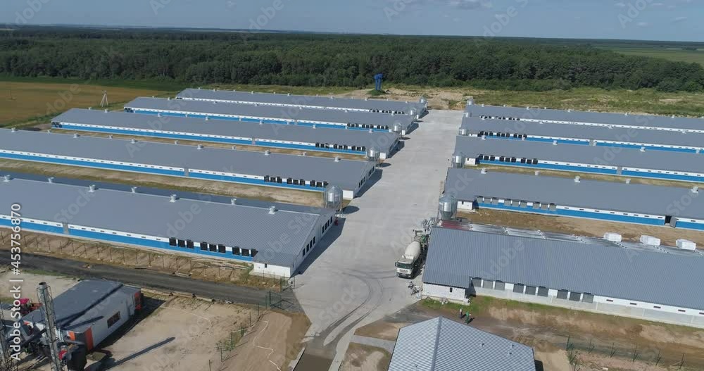 Aerial view of farm among forest. farm industrial Aerial view of farm among forest. farm industrial
