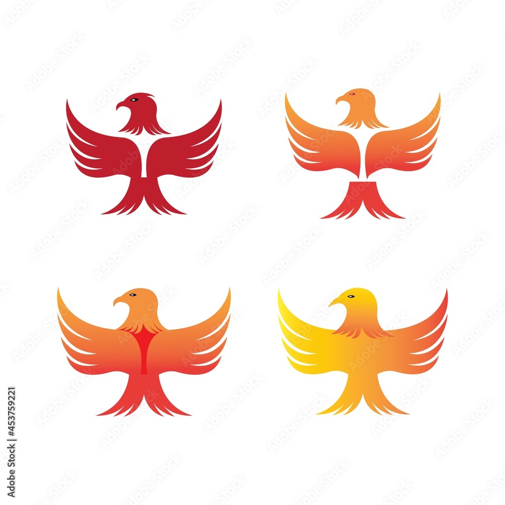 Obraz premium Falcon