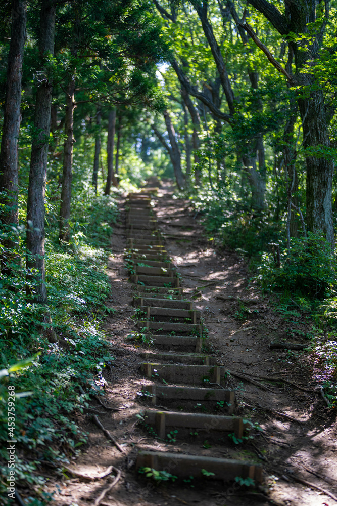 Obraz premium 富山県富山市の猿倉山、御前山、小佐波御前山を登山する風景 Scenery of climbing Sarukura Mountain, Gozen Mountain, and Ozanami Gozen Mountain in Toyama City, Toyama Prefecture. 