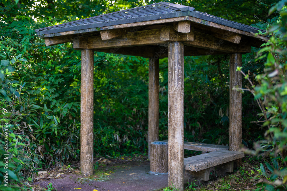 富山県富山市の猿倉山、御前山、小佐波御前山を登山する風景 Scenery of climbing Sarukura Mountain, Gozen Mountain, and Ozanami Gozen Mountain in Toyama City, Toyama Prefecture. 富山県富山市の猿倉山、御前山、小佐波御前山を登山する風景 Scenery of climbing Sarukura Mountain, Gozen Mountain, and Ozanami Gozen Mountain in Toyama City, Toyama Prefecture.