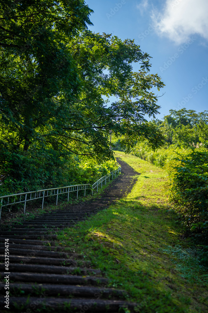 富山県富山市の猿倉山、御前山、小佐波御前山を登山する風景 Scenery of climbing Sarukura Mountain, Gozen Mountain, and Ozanami Gozen Mountain in Toyama City, Toyama Prefecture. 富山県富山市の猿倉山、御前山、小佐波御前山を登山する風景 Scenery of climbing Sarukura Mountain, Gozen Mountain, and Ozanami Gozen Mountain in Toyama City, Toyama Prefecture.