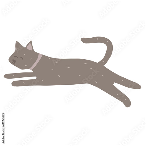 Cute happy relaxed cat purring