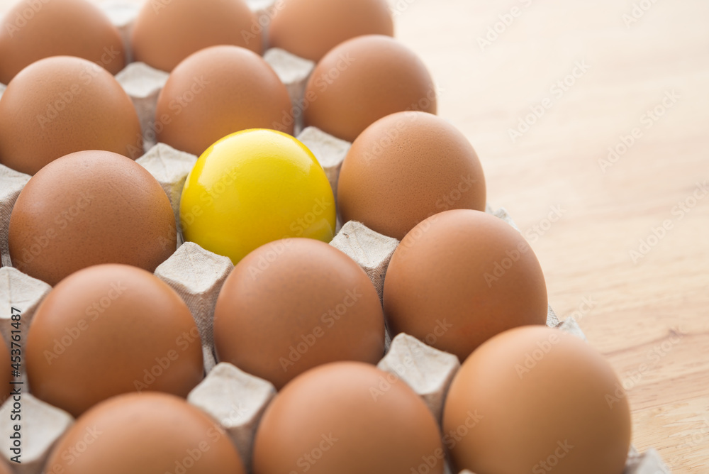 One special yellow egg in other normal eggs background. Think differently, standing out from the crowd, creative thinking ideas in business and marketing concept. One special yellow egg in other normal eggs background. Think differently, standing out from the crowd, creative thinking ideas in business and marketing concept.