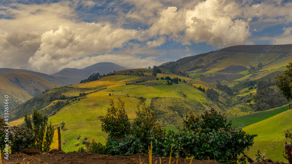 Naklejka premium ecuador