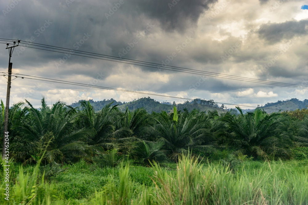 Obraz premium ecuador
