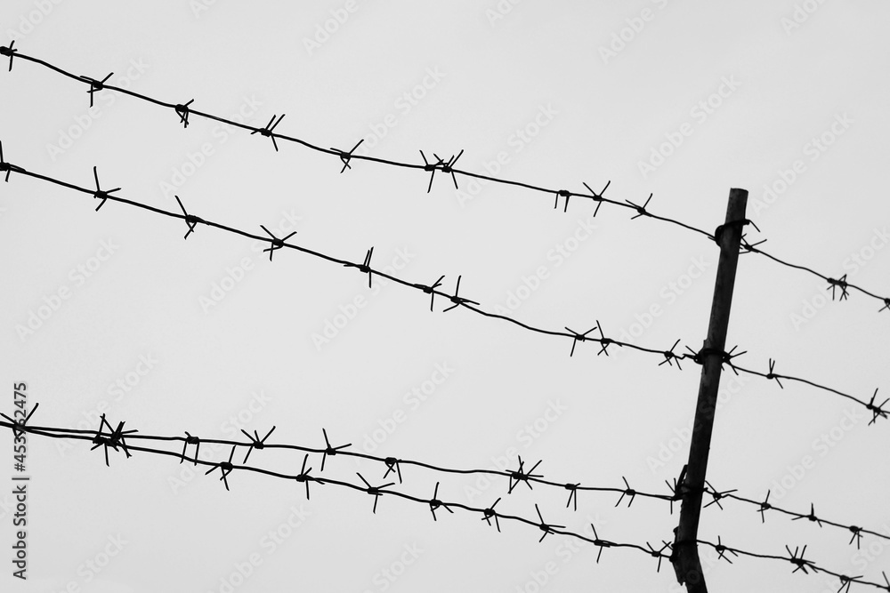 Barbed wire against the cloudy sky. Barbed wire against the cloudy sky.