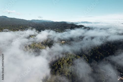 morning fog in the mountains rainy season