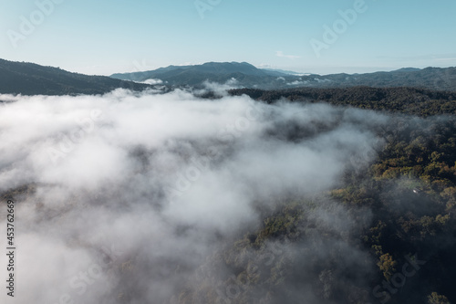 morning fog in the mountains rainy season