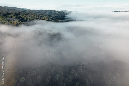 morning fog in the mountains rainy season