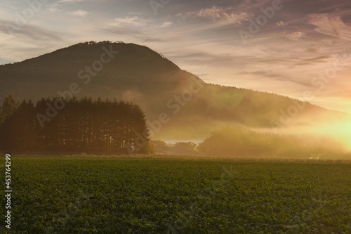 夜明けの空の下の朝靄の漂う野原と山。