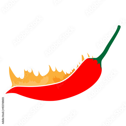 Red chili with fire icon on white background,vector illustration