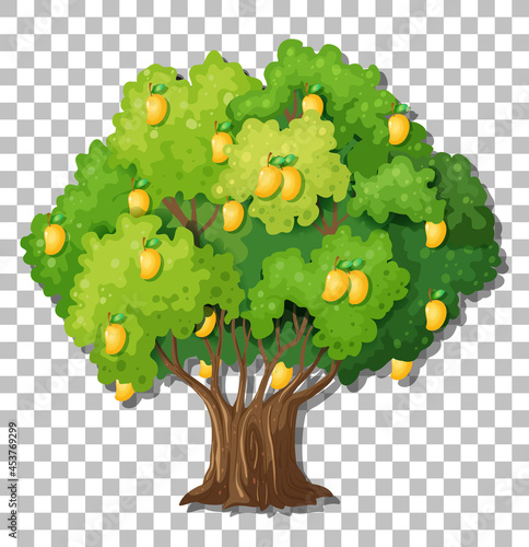 Mango tree on transparent background