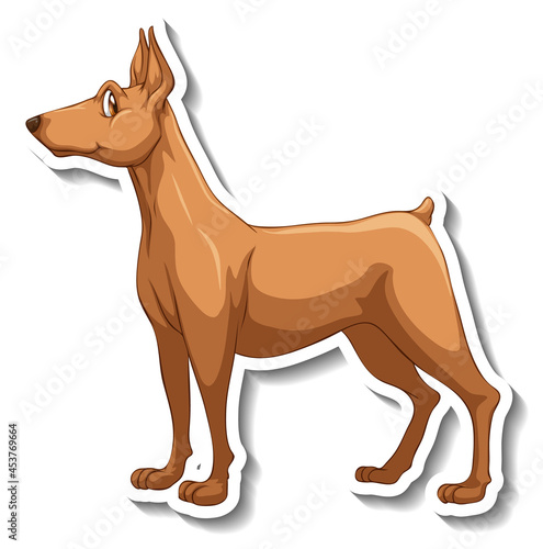 Sticker design with miniature pinscher dog isolated