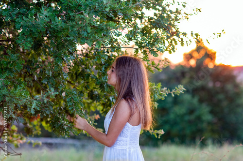 A young girl in profile with long blond hair, dressed in white, at sunset, touches the leaves of the magic tree