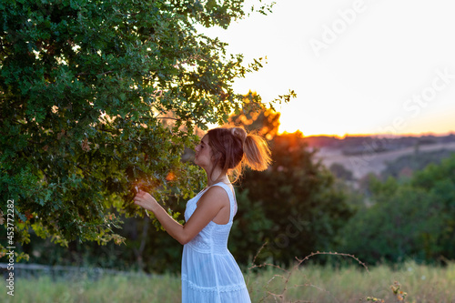 A young girl in profile with long blond tied hair, dressed in white, at sunset, touches the leaves of the magic tree