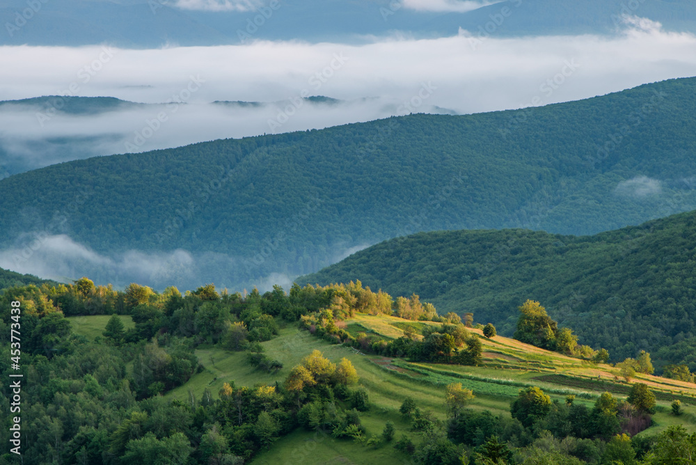 Fototapeta premium morning mountain hills in the fog at sunrise.