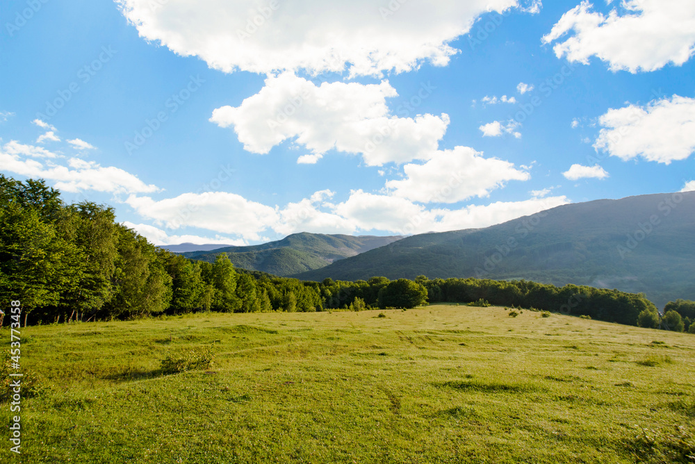 beautiful meadow covered with grass on a background of green summer and high mountains with blue sky and clouds. Mountain landscape. Fresh air. Ecology.